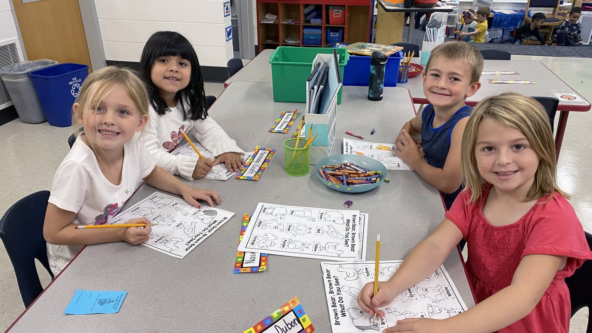 four students coloring in animals