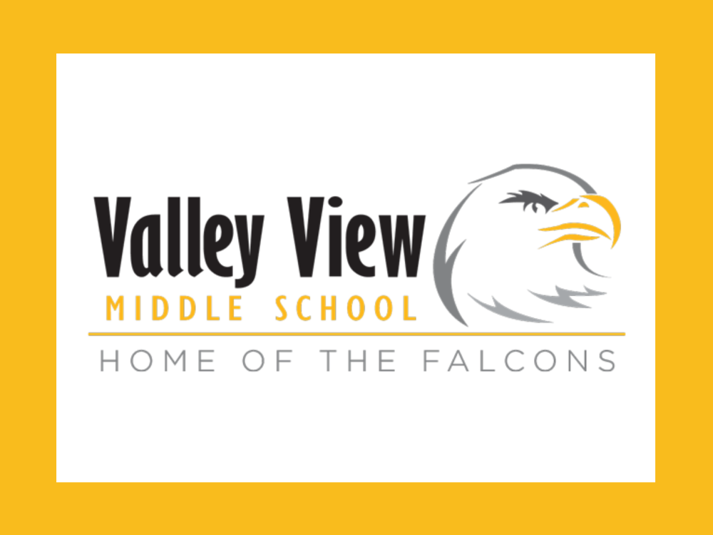 Valley View Middle School Falcons logo